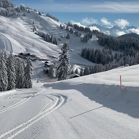 Am Goldbach Pool Sauna Apartment Obermaiselstein